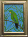 green parrot5