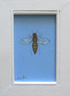 bee in white frame