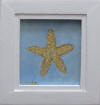 starfish painting