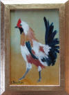 multicolor hen
